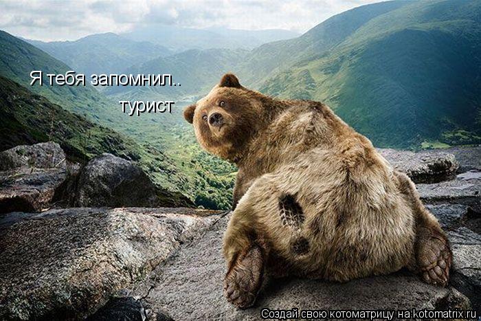 Я тебя запомнил.. Я тебя запомнил.. турист... Котоматрица: Я тебя запомнил.. Я тебя запомнил.. турист