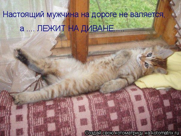 Настоящий мужчина на дороге не валяется, а .... ЛЕЖИТ НА ДИВАНЕ........ Котоматрица: Настоящий мужчина на дороге не валяется, а .... ЛЕЖИТ НА ДИВАНЕ.....
