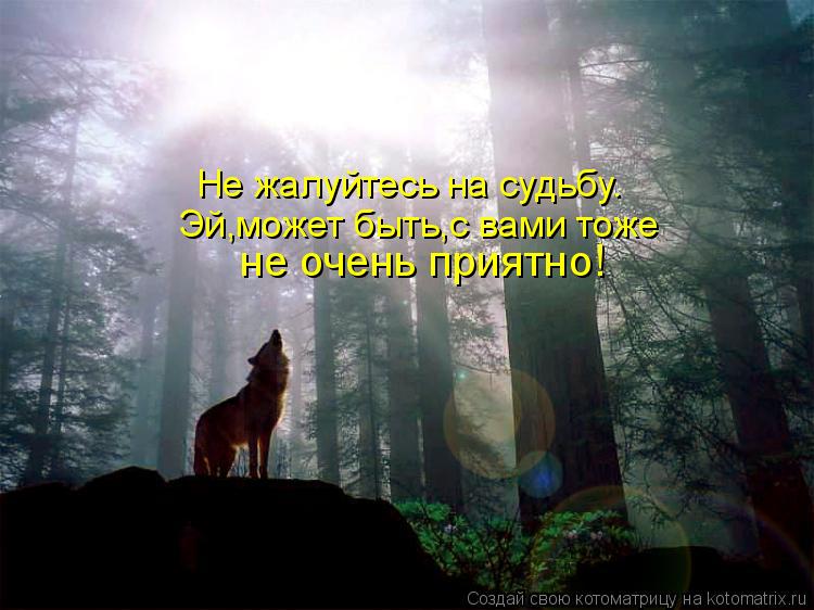 Не жалуйтесь на судьбу. Эй,может быть,с вами тоже не очень приятно!... Котоматрица: Не жалуйтесь на судьбу. Эй,может быть,с вами тоже не очень приятно!