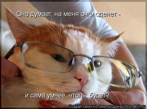 Котоматрица: Она думает, на меня очки оденет -  и сама умнее, чтоль, будет?