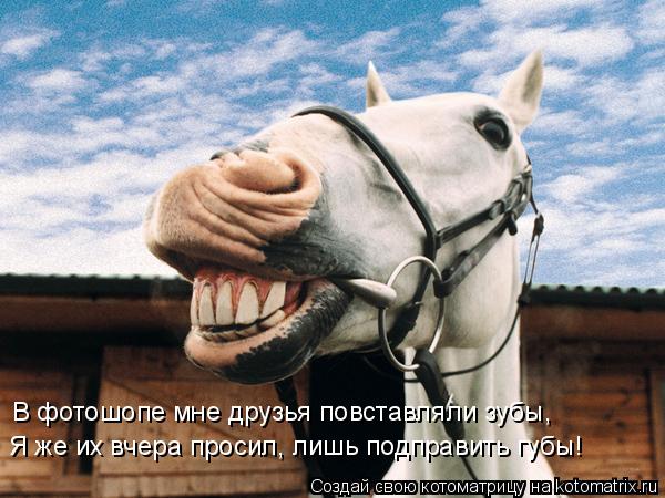 В фотошопе мне друзья повставляли зубы, Я же их вчера просил, лишь подправить губы!... Котоматрица: В фотошопе мне друзья повставляли зубы, Я же их вчера просил, лишь подправить губы!