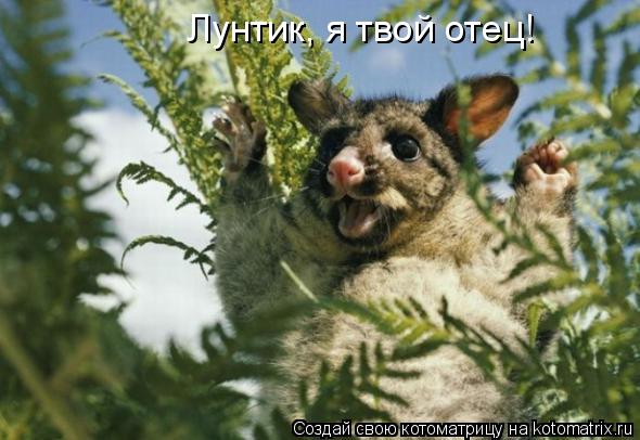 Лунтик, я твой отец!... Котоматрица: Лунтик, я твой отец!