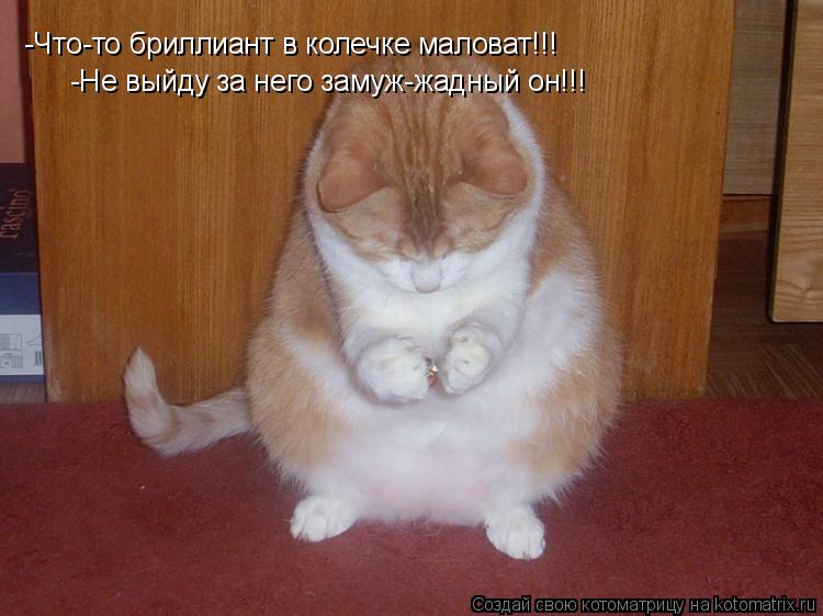 -Что-то бриллиант в колечке маловат!!! -Не выйду за него замуж-жадный он!!!... Котоматрица: -Что-то бриллиант в колечке маловат!!! -Не выйду за него замуж-жадный он!!!