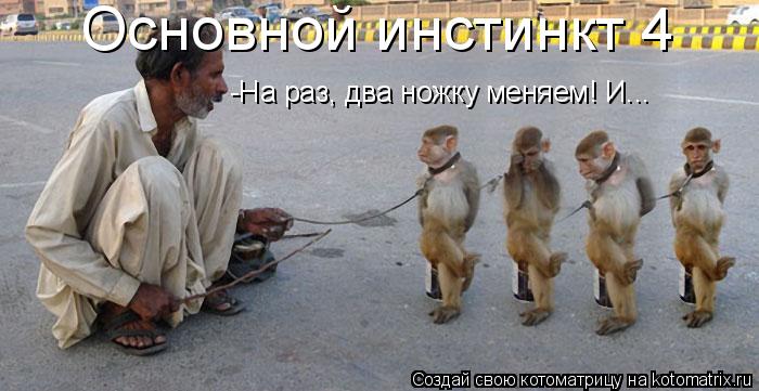 Котоматрица: Основной инстинкт 4 -На раз, два ножку меняем! И...