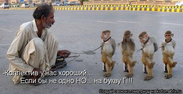 -Коллектив у нас хороший... Если бы не одно НО... на букву Г!!!... Котоматрица: -Коллектив у нас хороший... Если бы не одно НО... на букву Г!!!
