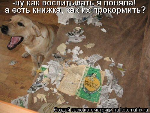 -ну как воспитывать я поняла! а есть книжка, как их прокормить?... Котоматрица: -ну как воспитывать я поняла! а есть книжка, как их прокормить?
