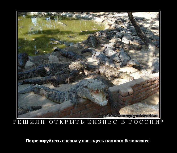 Решили открыть бизнес в России? Потренируйтесь сперва у нас, здесь намного безопаснее!... Котоматрица: Решили открыть бизнес в России? Потренируйтесь сперва у нас, здесь намного безопаснее!