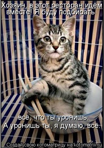 Котоматрица: Хозяин, в этот ресторан идём  вместе! Я буду подбирать  всё, что ты уронишь. А уронишь ты, я думаю, всё.