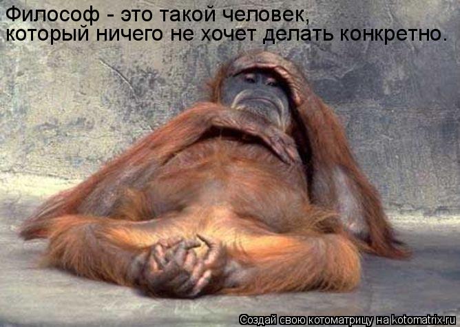 Философ - это такой человек, который ничего не хочет делать конкретно.... Котоматрица: Философ - это такой человек, который ничего не хочет делать конкретно.