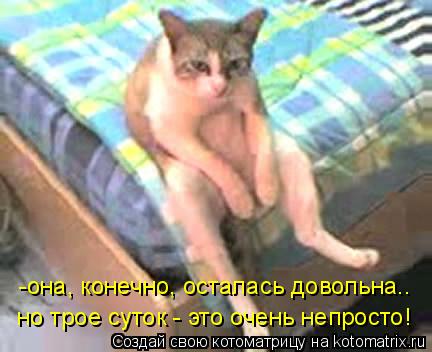 -она, конечно, осталась довольна.. но трое суток - это очень непросто!... Котоматрица: -она, конечно, осталась довольна.. но трое суток - это очень непросто!