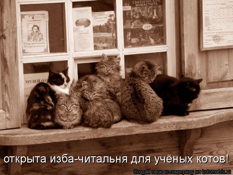 открыта изба-читальня для учёных котов!... Котоматрица: открыта изба-читальня для учёных котов!