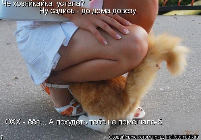 Чё хозяйкайка, устала? Ну садись - до дома довезу. ОХХ - ёёё... А похудеть тебе не помешало-б... Котоматрица: Чё хозяйкайка, устала? Ну садись - до дома довезу. ОХХ - ёёё... А похудеть тебе не помешало-б