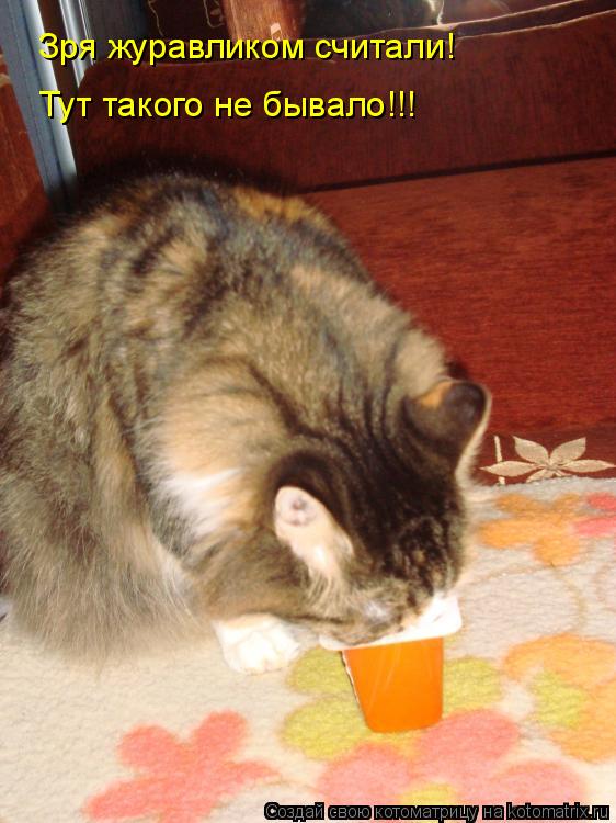 Зря журавликом считали! Тут такого не бывало!!!... Котоматрица: Зря журавликом считали! Тут такого не бывало!!!