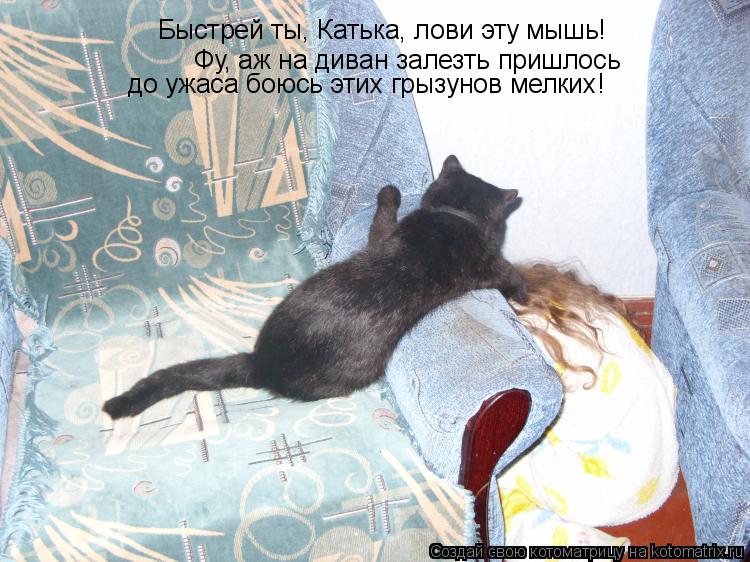 Быстрей ты, Катька, лови эту мышь! Фу, аж на диван залезть пришлось до ужаса боюсь этих грызунов мелк... Котоматрица: Быстрей ты, Катька, лови эту мышь! Фу, аж на диван залезть пришлось до ужаса боюсь этих грызунов мелких!