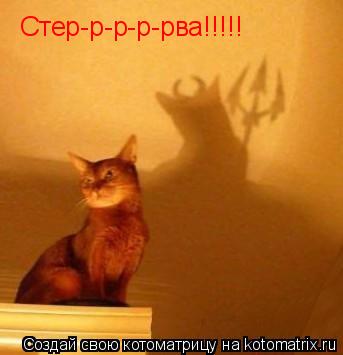Стер-р-р-р-рва!!!!!... Котоматрица: Стер-р-р-р-рва!!!!!