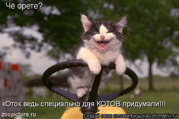Чё орете? кОток ведь специально для КОТОВ придумали!!!... Котоматрица: Чё орете? кОток ведь специально для КОТОВ придумали!!!