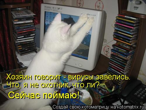 Хозяин говорит - вирусы завелись. Что, я не охотник, что ли? Сейчас поймаю!... Котоматрица: Хозяин говорит - вирусы завелись. Что, я не охотник, что ли? Сейчас поймаю!