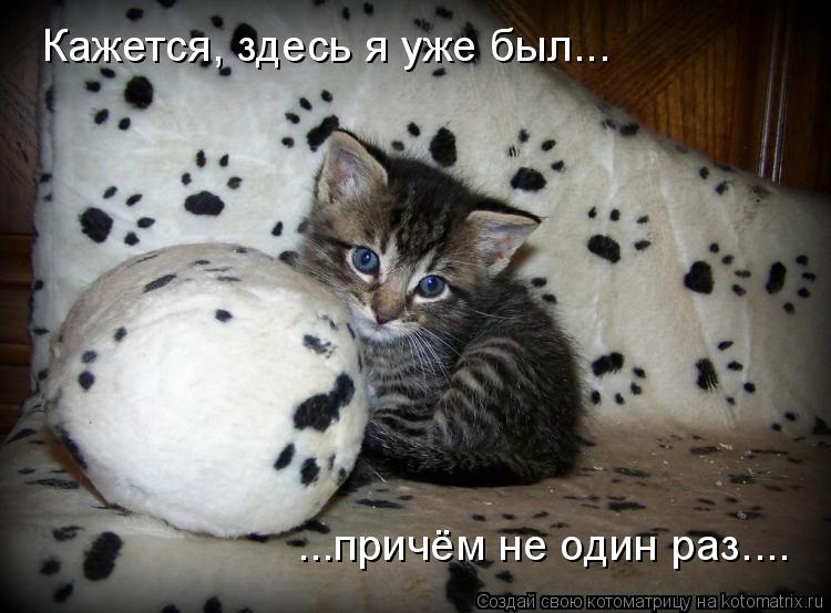 Кажется, здесь я уже был... ...причём не один раз....... Котоматрица: Кажется, здесь я уже был... ...причём не один раз....