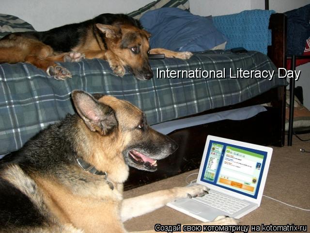 International Literacy Day... Котоматрица: International Literacy Day