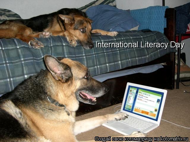 Котоматрица: International Literacy Day