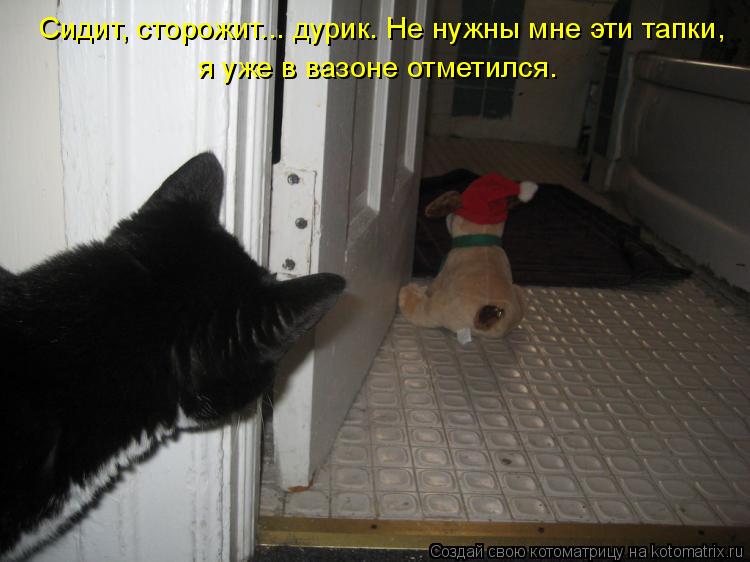 Сидит, сторожит... дурик. Не нужны мне эти тапки, я уже в вазоне отметился.... Котоматрица: Сидит, сторожит... дурик. Не нужны мне эти тапки, я уже в вазоне отметился.