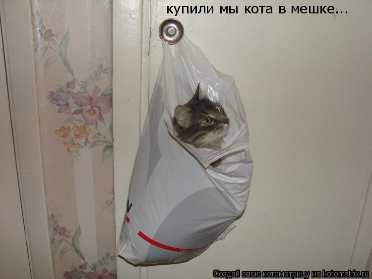 купили мы кота в мешке...... Котоматрица: купили мы кота в мешке...