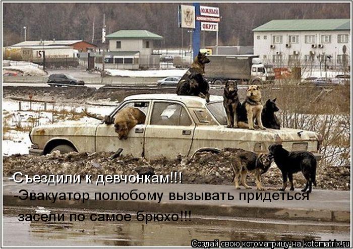-Эвакуатор полюбому вызывать придеться засели по самое брюхо!!! -Съездили к девчонкам!!!... Котоматрица: -Эвакуатор полюбому вызывать придеться засели по самое брюхо!!! -Съездили к девчонкам!!!