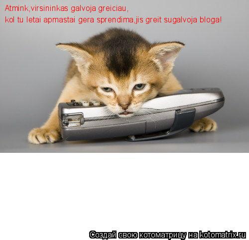Atmink,virsininkas galvoja greiciau, kol tu letai apmastai gera sprendima,jis greit sugalvoja bloga!... Котоматрица: Atmink,virsininkas galvoja greiciau, kol tu letai apmastai gera sprendima,jis greit sugalvoja bloga!