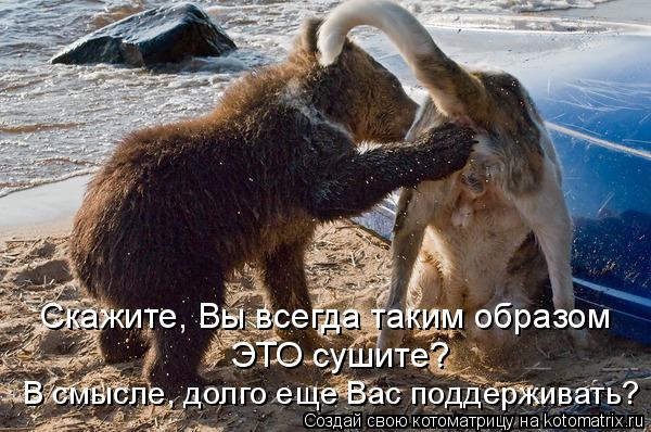 Скажите, Вы всегда таким образом ЭТО сушите? В смысле, долго еще Вас поддерживать?... Котоматрица: Скажите, Вы всегда таким образом ЭТО сушите? В смысле, долго еще Вас поддерживать?