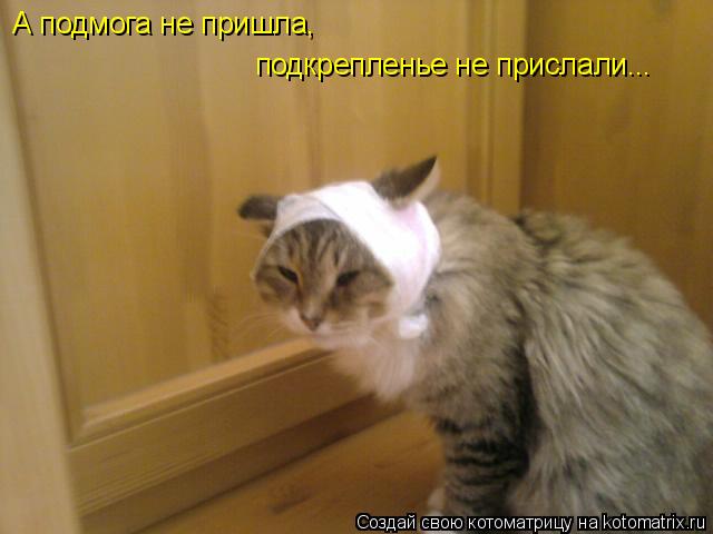 А подмога не пришла, подкрепленье не прислали...... Котоматрица: А подмога не пришла, подкрепленье не прислали...