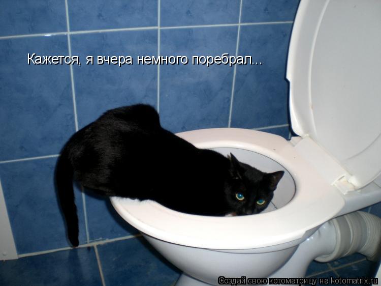 Кажется, я вчера немного поребрал...... Котоматрица: Кажется, я вчера немного поребрал...