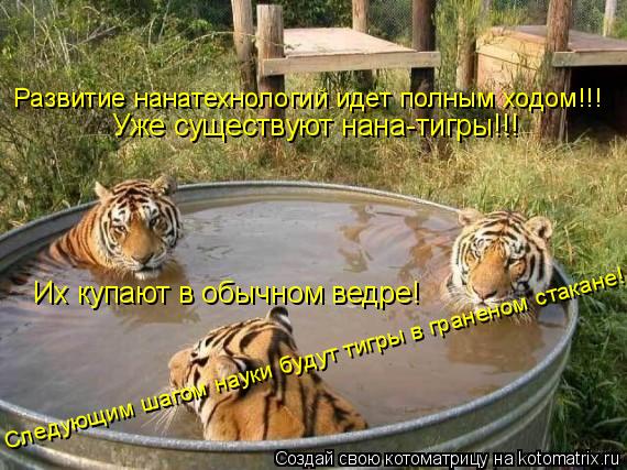Уже существуют нана-тигры!!! Их купают в обычном ведре! Следущим шагом науки будут тигры в граненом с... Котоматрица: Уже существуют нана-тигры!!! Их купают в обычном ведре! Следущим шагом науки будут тигры в граненом стакане! Следующим шагом науки будут тиг