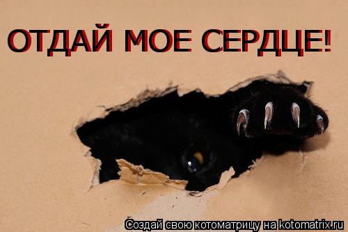 ОТДАЙ МОЕ СЕРДЦЕ! ОТДАЙ МОЕ СЕРДЦЕ!... Котоматрица: ОТДАЙ МОЕ СЕРДЦЕ! ОТДАЙ МОЕ СЕРДЦЕ!