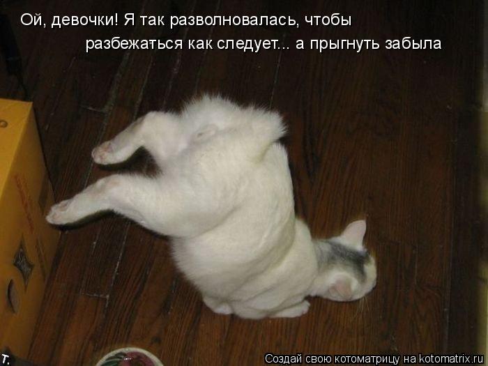 Ой, девочки! Я так разволновалась, чтобы разбежаться как следует... а прыгнуть забыла... Котоматрица: Ой, девочки! Я так разволновалась, чтобы разбежаться как следует... а прыгнуть забыла