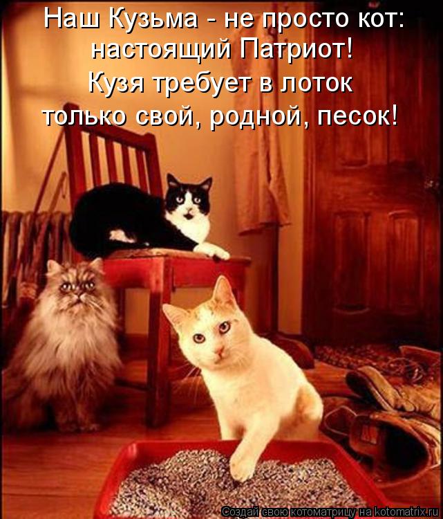 Котоматрица: Наш Кузьма - не просто кот: настоящий Патриот! Кузя требует в лоток только свой, родной, песок!