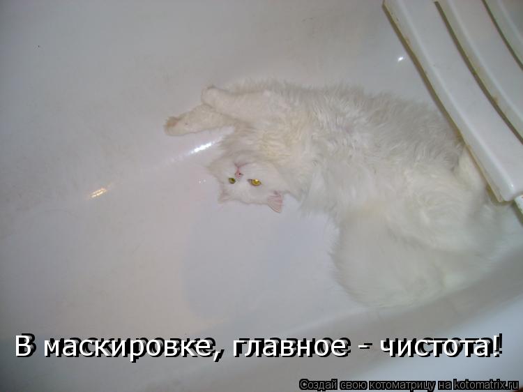 В маскировке, главное - чистота! В маскировке, главное - чистота! В маскировке, главное - чистота!... Котоматрица: В маскировке, главное - чистота! В маскировке, главное - чистота! В маскировке, главное - чистота!