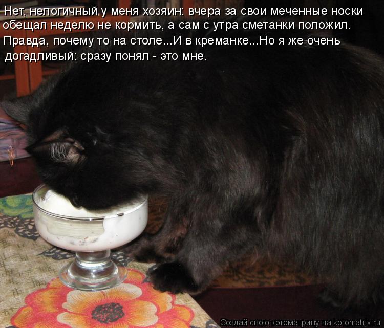 Котоматрица: Нет, нелогичный у меня хозяин: вчера за свои меченные носки Правда, почему то на столе...И в креманке...Но я же очень догадливый: сразу понял - э