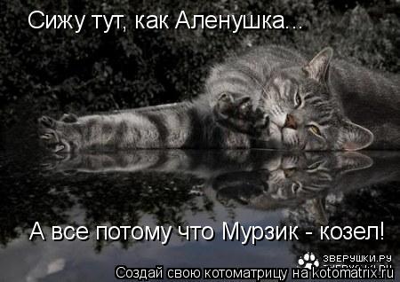 Сижу тут, как Аленушка... А все потому что Мурзик - козел!... Котоматрица: Сижу тут, как Аленушка... А все потому что Мурзик - козел!