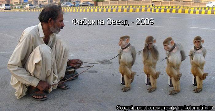 Фабрика Звезд - 2009... Котоматрица: Фабрика Звезд - 2009