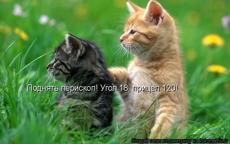 Поднять перископ! Угол 18, прицел 120!... Котоматрица: Поднять перископ! Угол 18, прицел 120!