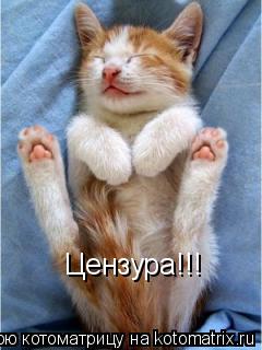 Цензура!!!... Котоматрица: Цензура!!!