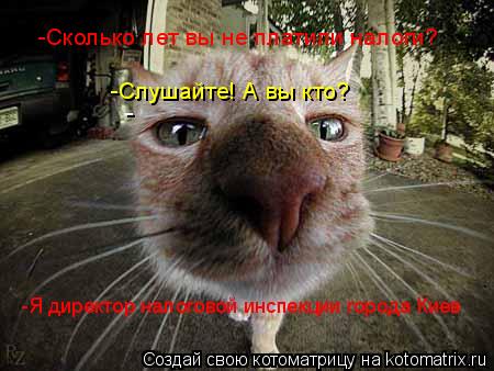 - -Сколько лет вы не платили налоги? -Слушайте! А вы кто? -Я директор налоговой инспекции города Кие... Котоматрица: - -Сколько лет вы не платили налоги? -Слушайте! А вы кто? -Я директор налоговой инспекции города Киев