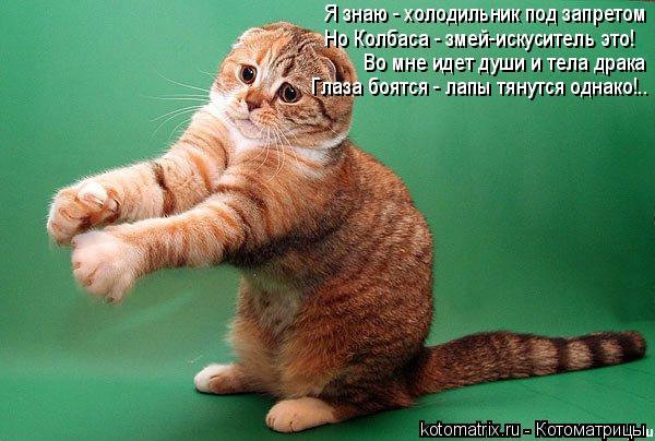 Я знаю - холодильник под запретом Но Колбаса - змей-искуситель это! Во мне идет души и тела драка Гла... Котоматрица: Я знаю - холодильник под запретом Но Колбаса - змей-искуситель это! Во мне идет души и тела драка Глаза боятся - лапы тянутся однако!..