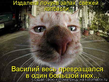 Издалека почуяв запах свежей колбаски, в один большой нюх... Василий весь превращался... Котоматрица: Издалека почуяв запах свежей колбаски, в один большой нюх... Василий весь превращался
