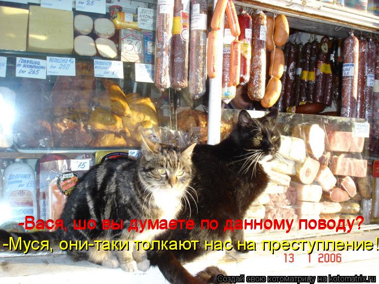 -Вася, шо вы думаете по данному поводу? -Вася, шо вы думаете по данному поводу? -Муся, они-таки толка... Котоматрица: -Вася, шо вы думаете по данному поводу? -Вася, шо вы думаете по данному поводу? -Муся, они-таки толкают нас на преступление!