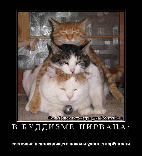 В буддизме нирвана: состояние непроходящего покоя и удовлетворённости... Котоматрица: В буддизме нирвана: состояние непроходящего покоя и удовлетворённости