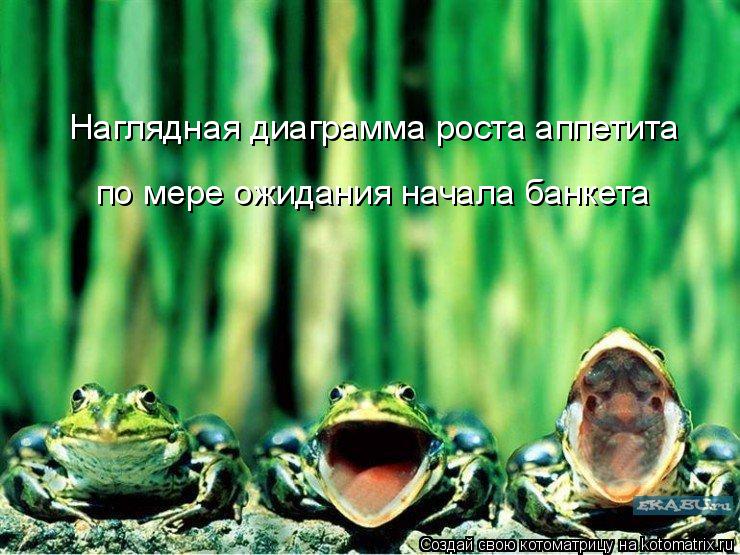 Наглядная диаграмма роста аппетита по мере ожидания начала банкета... Котоматрица: Наглядная диаграмма роста аппетита по мере ожидания начала банкета