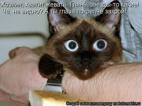 Котоматрица: Хозяин, хватит жевать. Глянь, звёзды-то какие! Чё, не видно? А ты глаза покрепче закрой!
