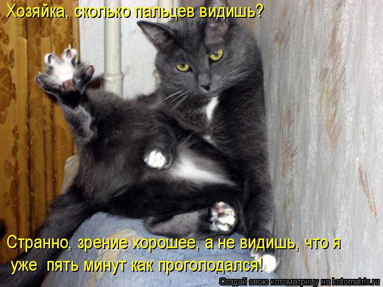 Котоматрица: Хозяйка, сколько пальцев видишь? Странно, зрение хорошее, а не видишь, что я уже  пять минут как проголодался!