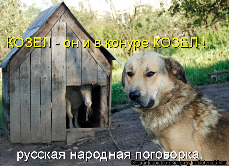 КОЗЕЛ - он и в конуре КОЗЕЛ ! русская народная поговорка.... Котоматрица: КОЗЕЛ - он и в конуре КОЗЕЛ ! русская народная поговорка.